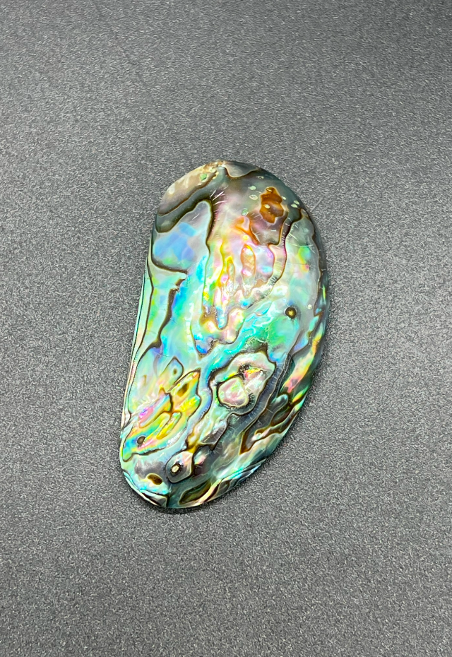 Paua Oval, New Zealand