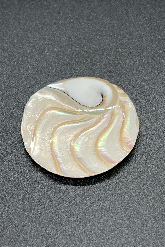 Nautilus Tiger Eye Round Pairs
