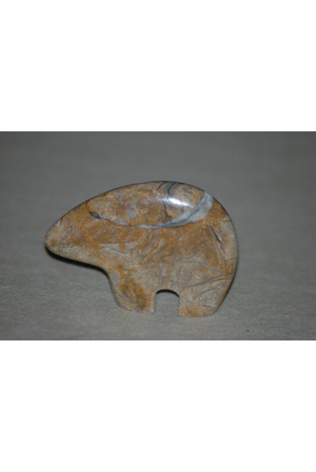 Fossil Shell, California