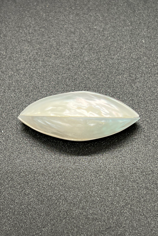 Troca Garlic Bead White Singles