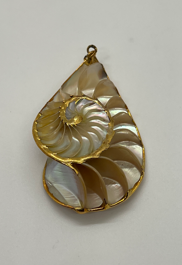 Nautilus Tiger Eye Gold Plated Lining