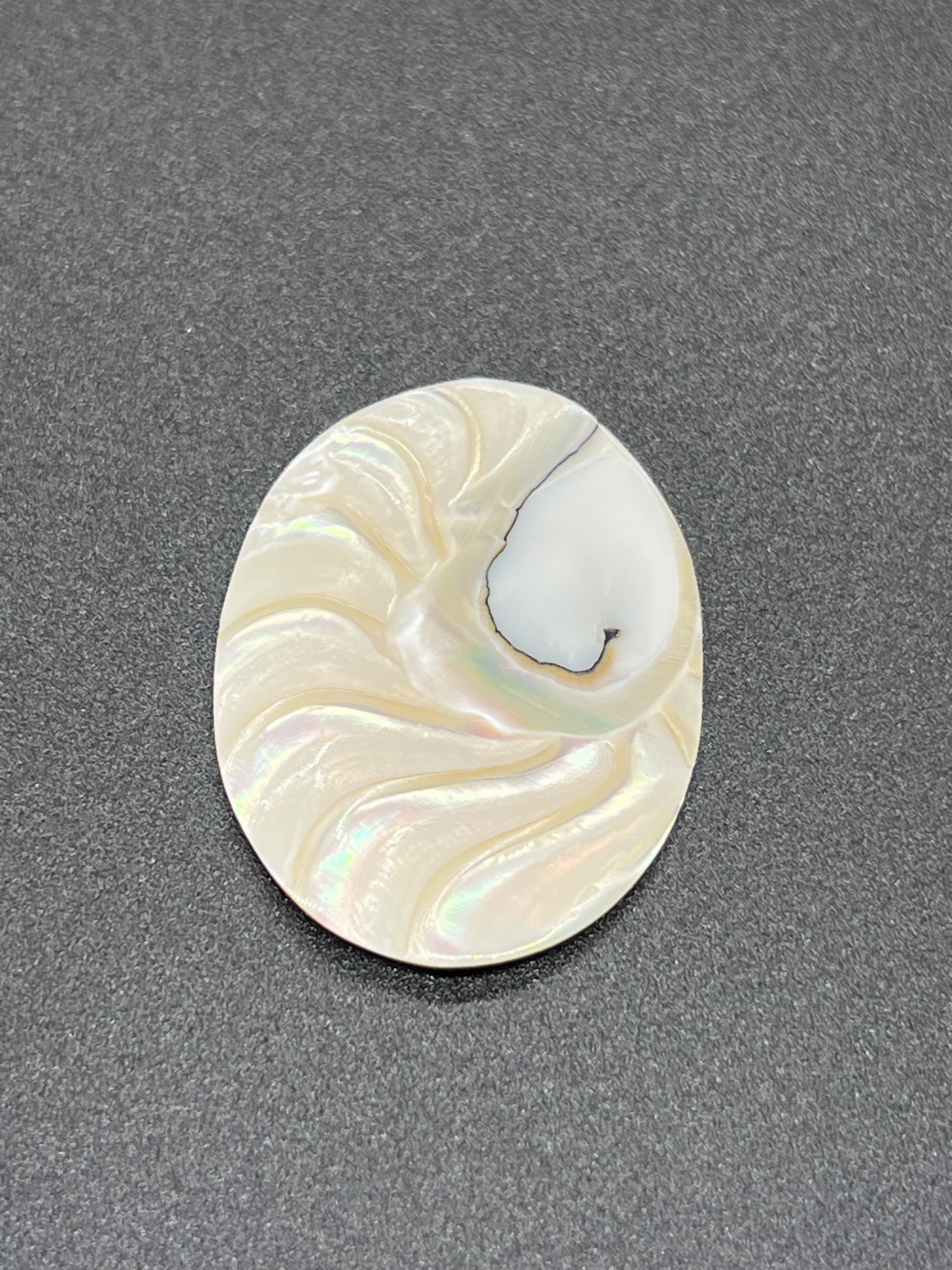 Nautilus Tiger Eye Oval Pairs