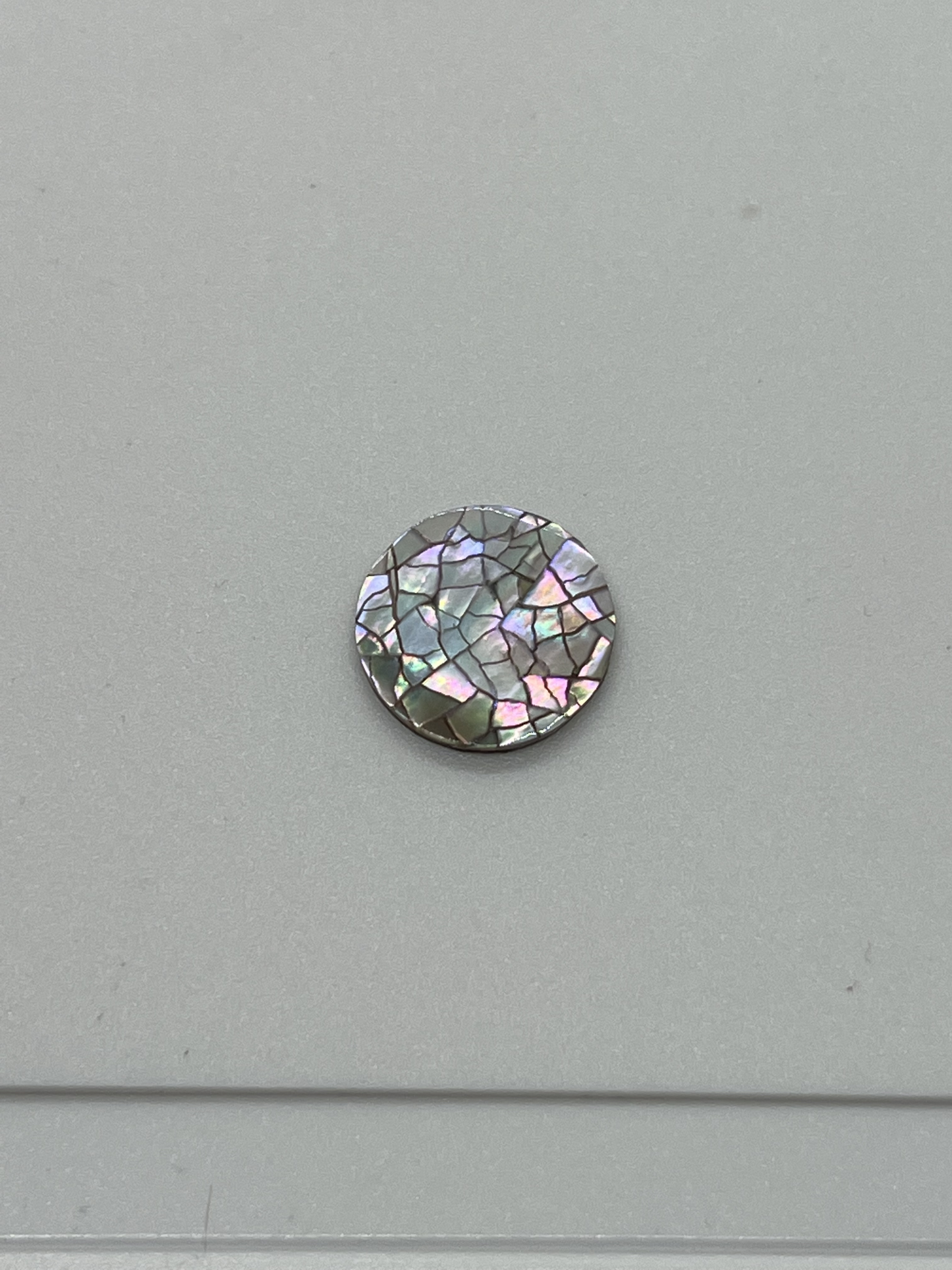 Brownlip Cracking Round 13mm X 1mm Thick, Pairs