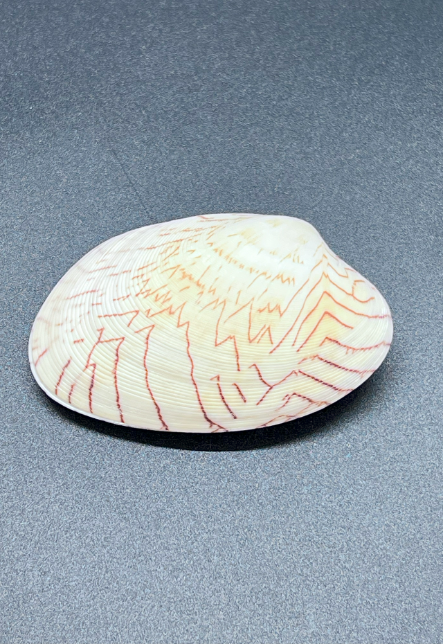 Tapes Literartus, Philippines