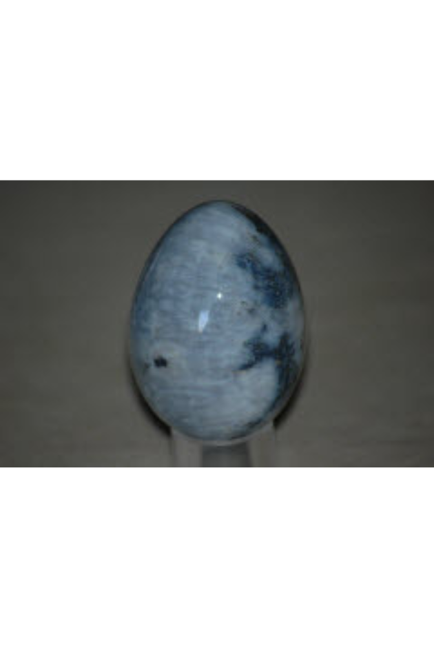 Agatized Coral, Florida