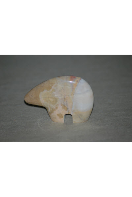 Tigillites, Arizona