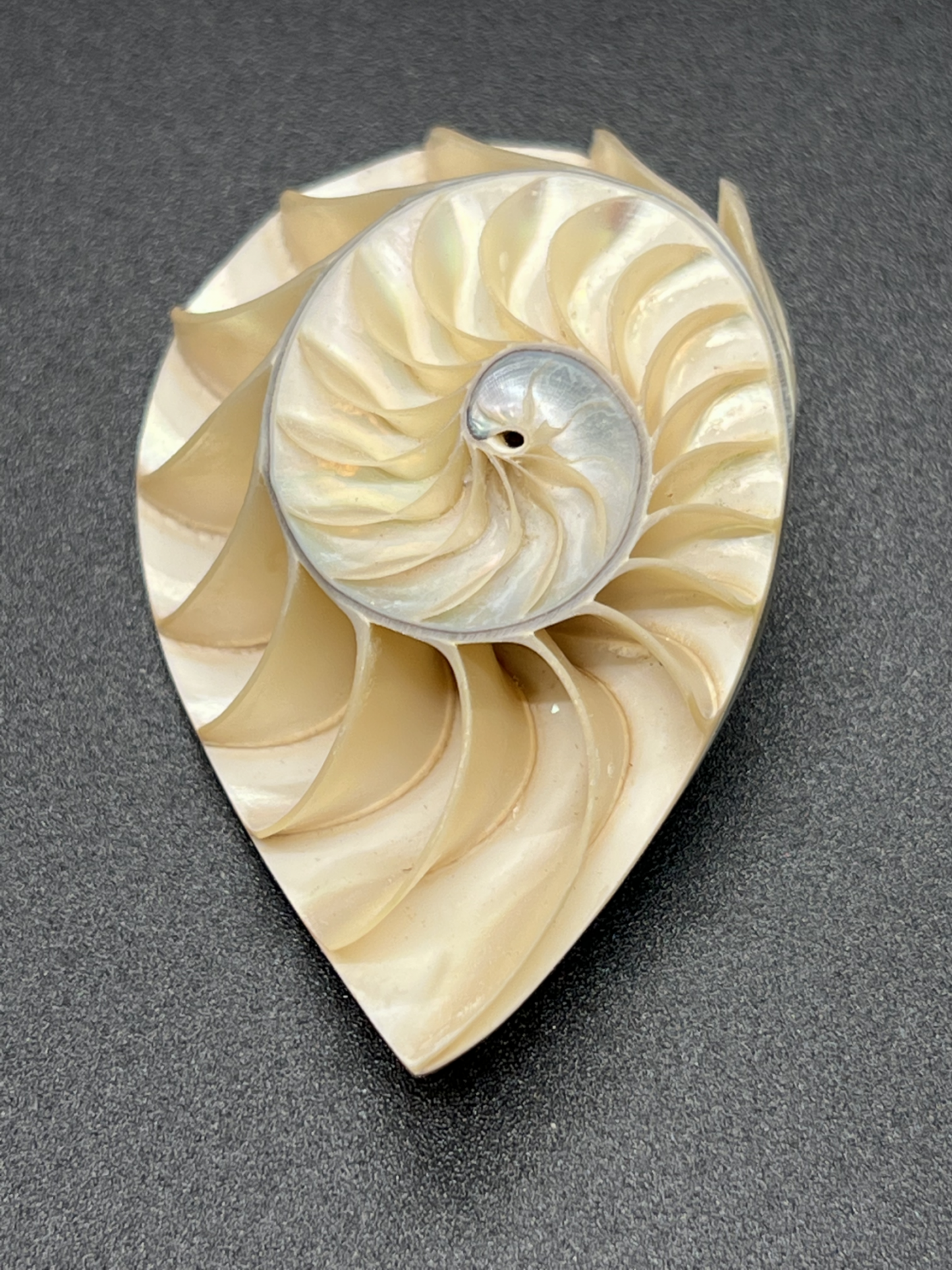 Nautilus Teardrop with Grooved Singles