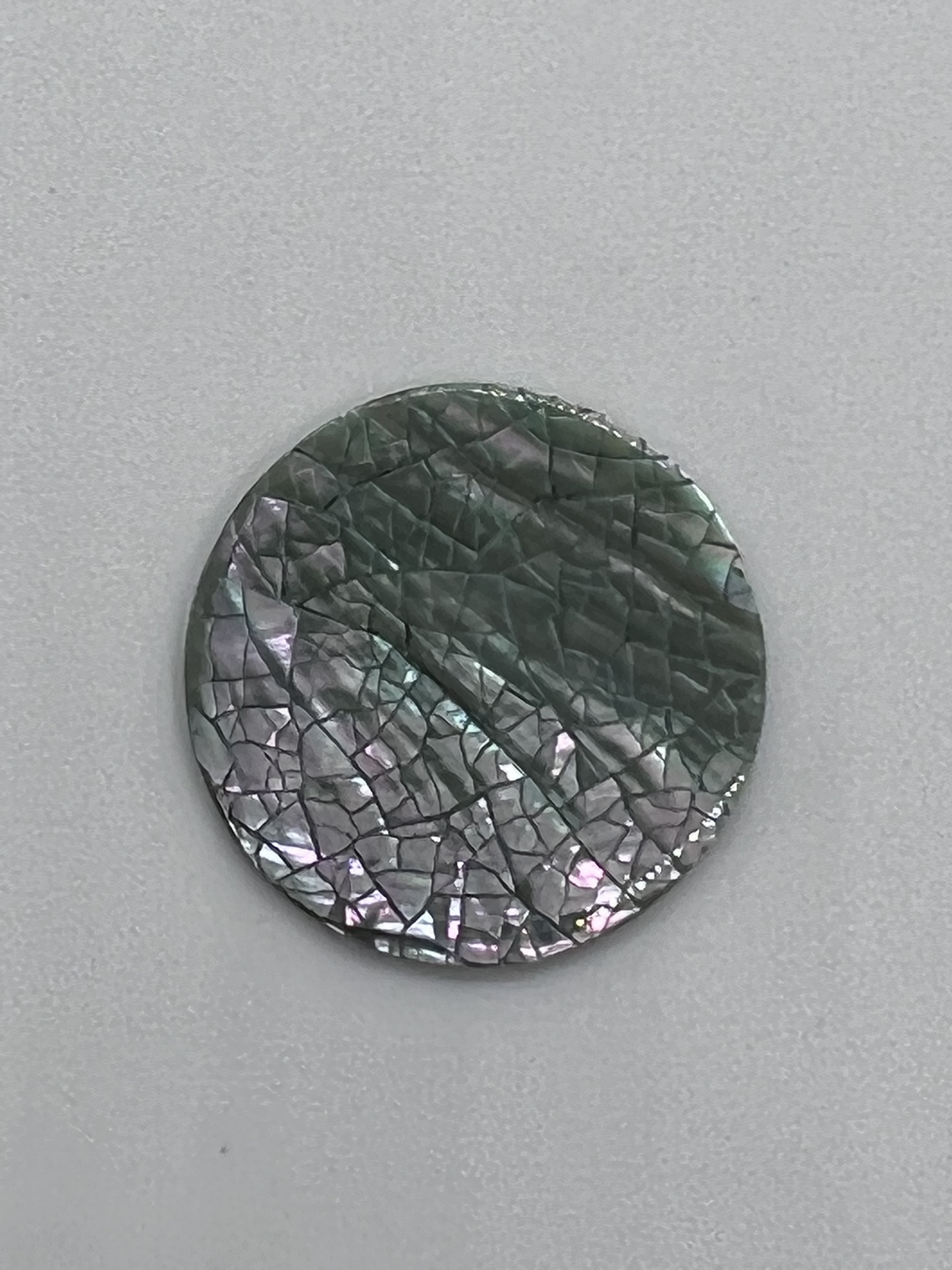 Abalone Cracking Round 22mm X 1mm Thick, Pairs